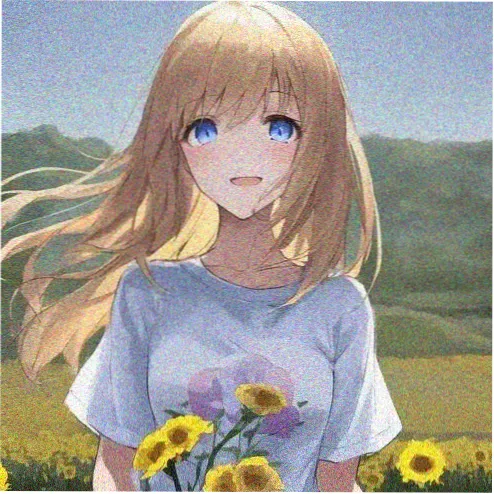光影追梦